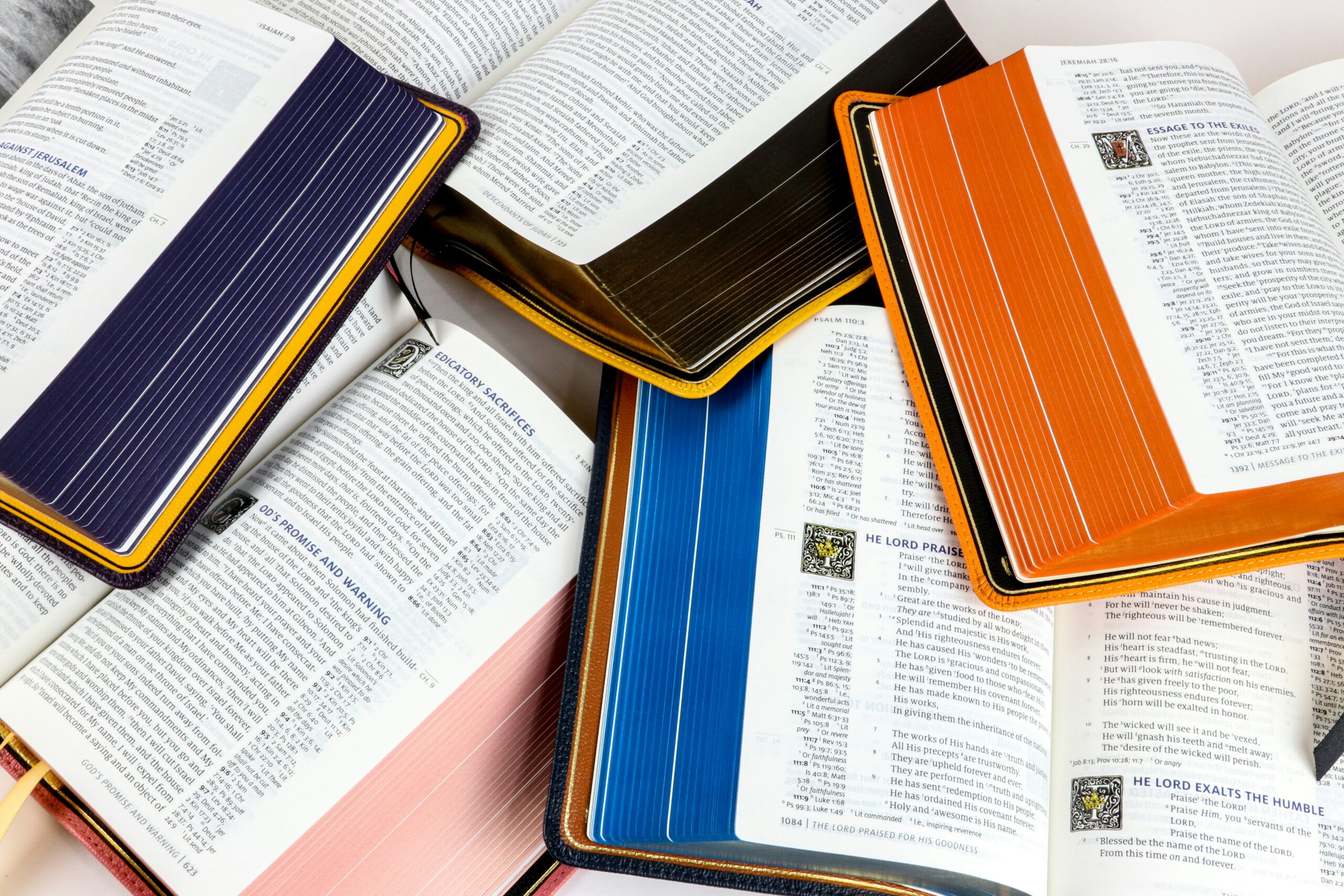 LifeGuide Bible Studies Review: Why These Trusted Guides Have Helped Millions Grow Spiritually