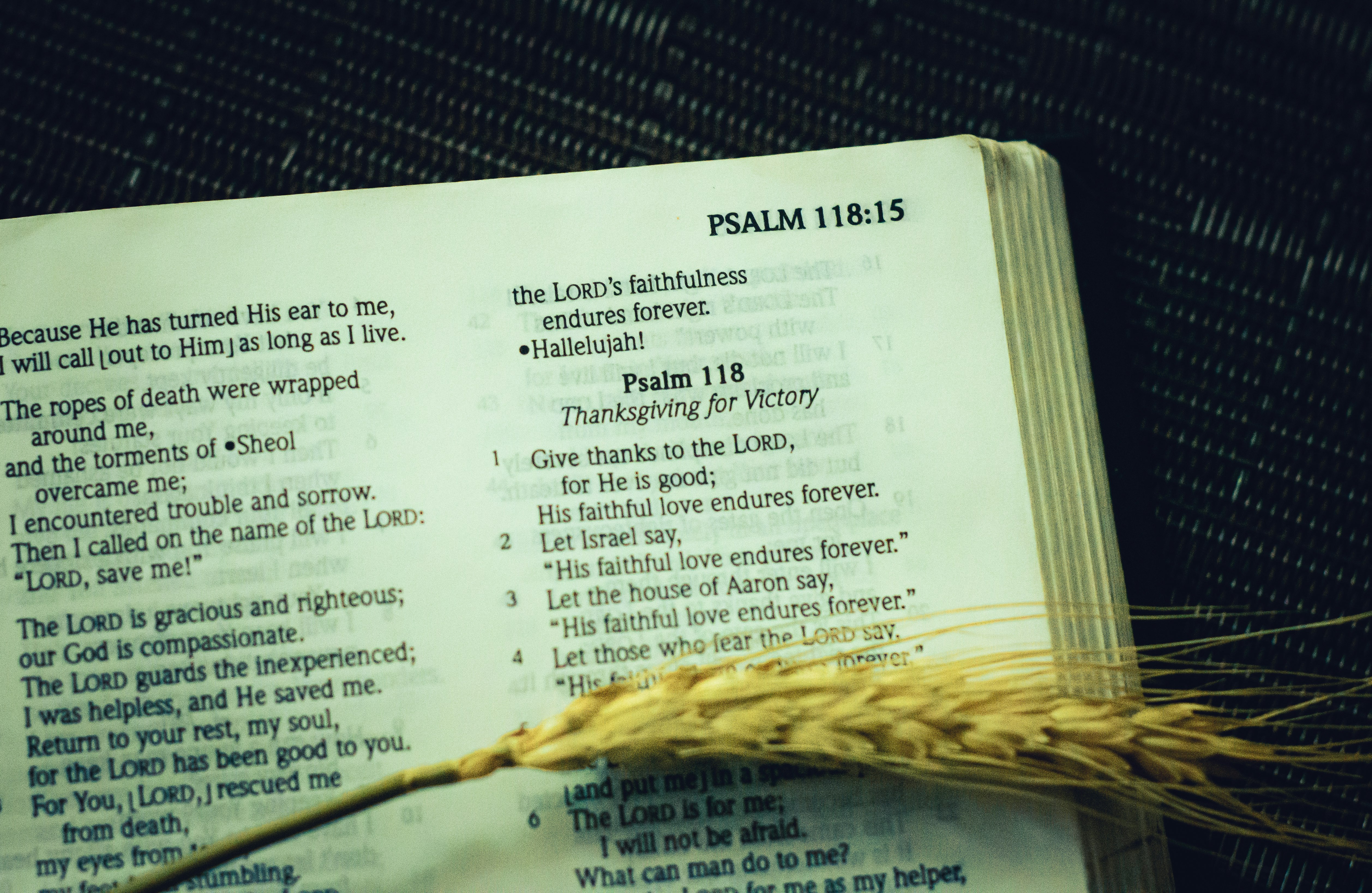 Finding Comfort in Sickness: Bible Verses Psalm 41:3, Isaiah 41:10, James 5:15